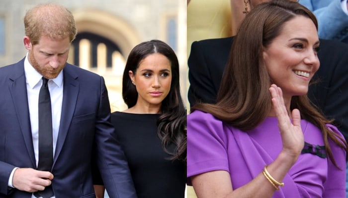 Prince Harry, Meghan Markle receive stern warning amid Kate’s return